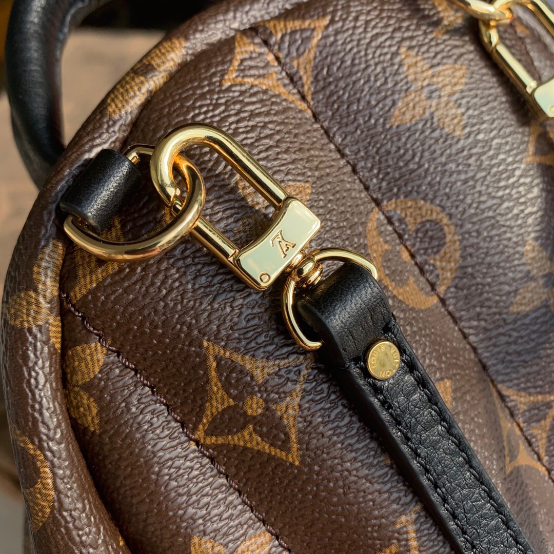 Louis Vuitton Palm Springs Mini Backpack Monogram Canvas 22cm M44873 - Image 5