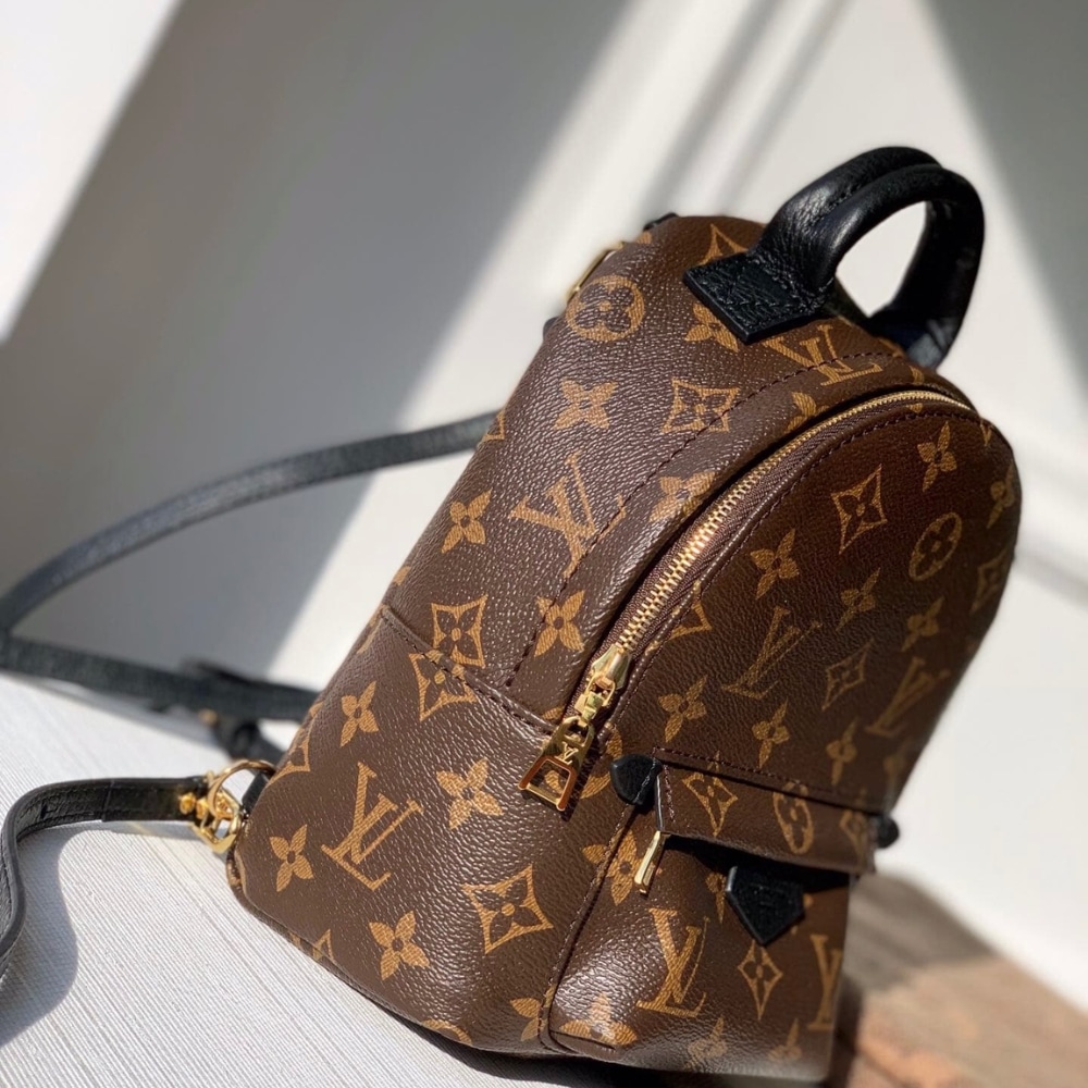 Louis Vuitton Palm Springs Mini Backpack Monogram Canvas 22cm M44873 - Image 2