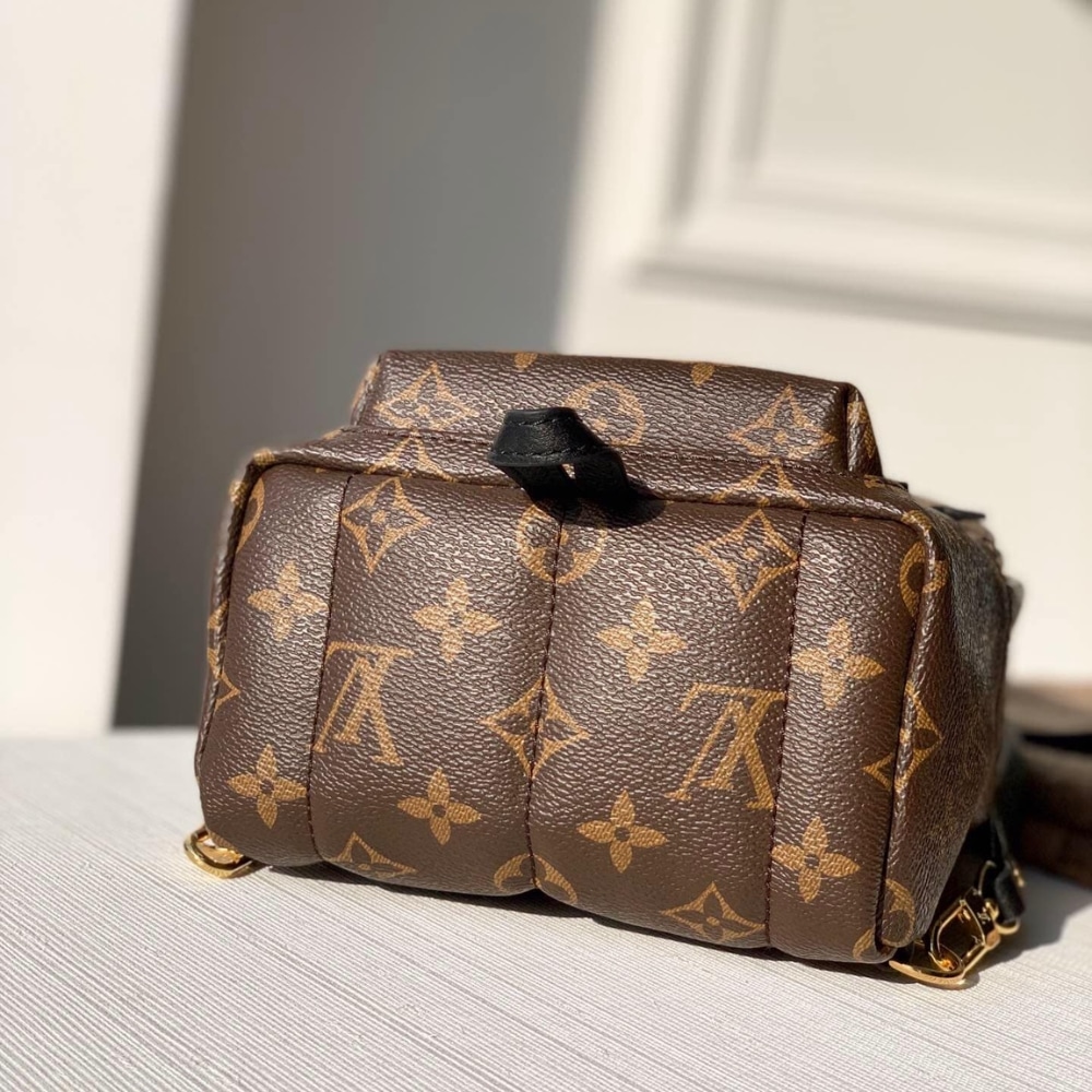 Louis Vuitton Palm Springs Mini Backpack Monogram Canvas 22cm M44873 - Image 3