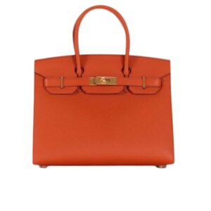Hermes Birkin 30 Epsom Sellier Handbag Terre Battue 30cm